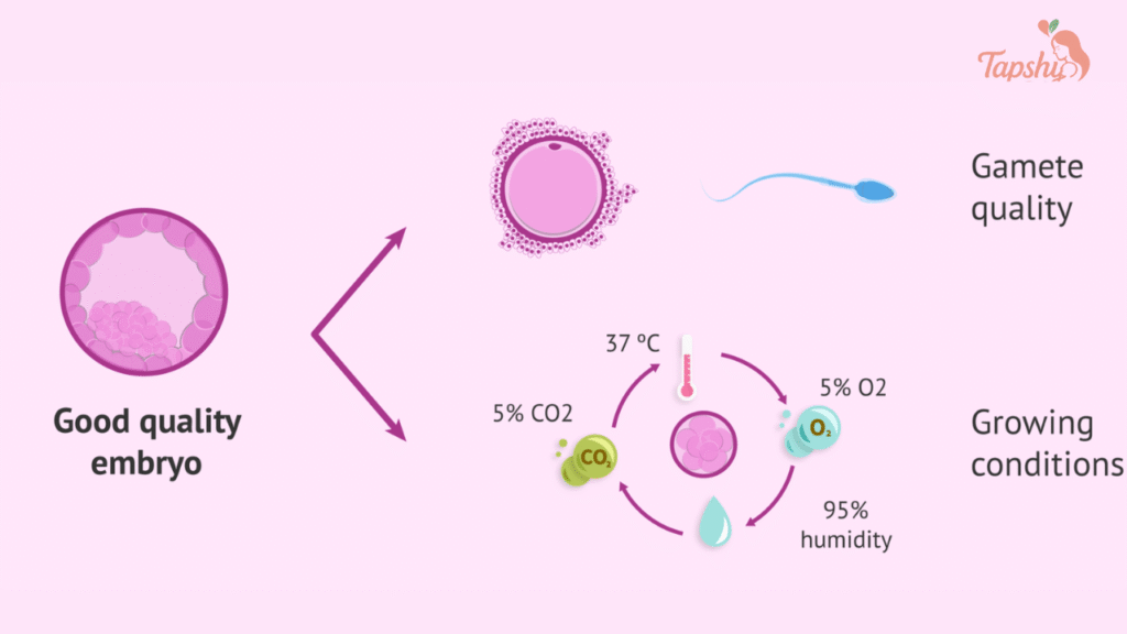 Chemical Pregnancy and IVF