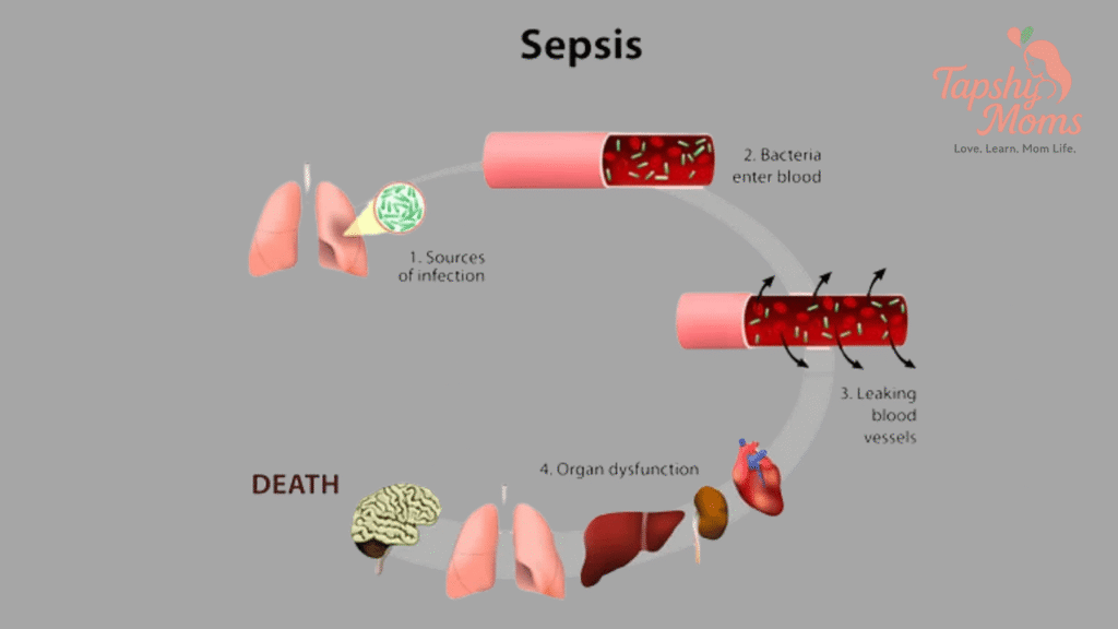 lotus birth safety benefits risks