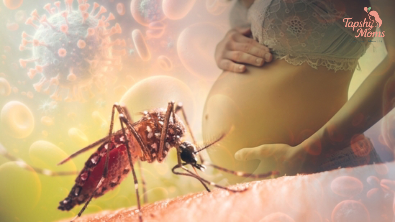 Malaria During Pregnancy: What You Need To Know